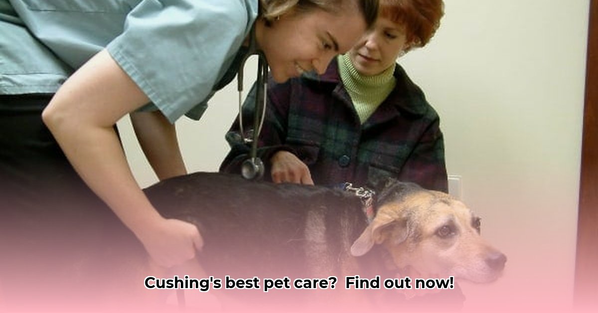 cushing-veterinary-clinic-in-cushing-oklahoma